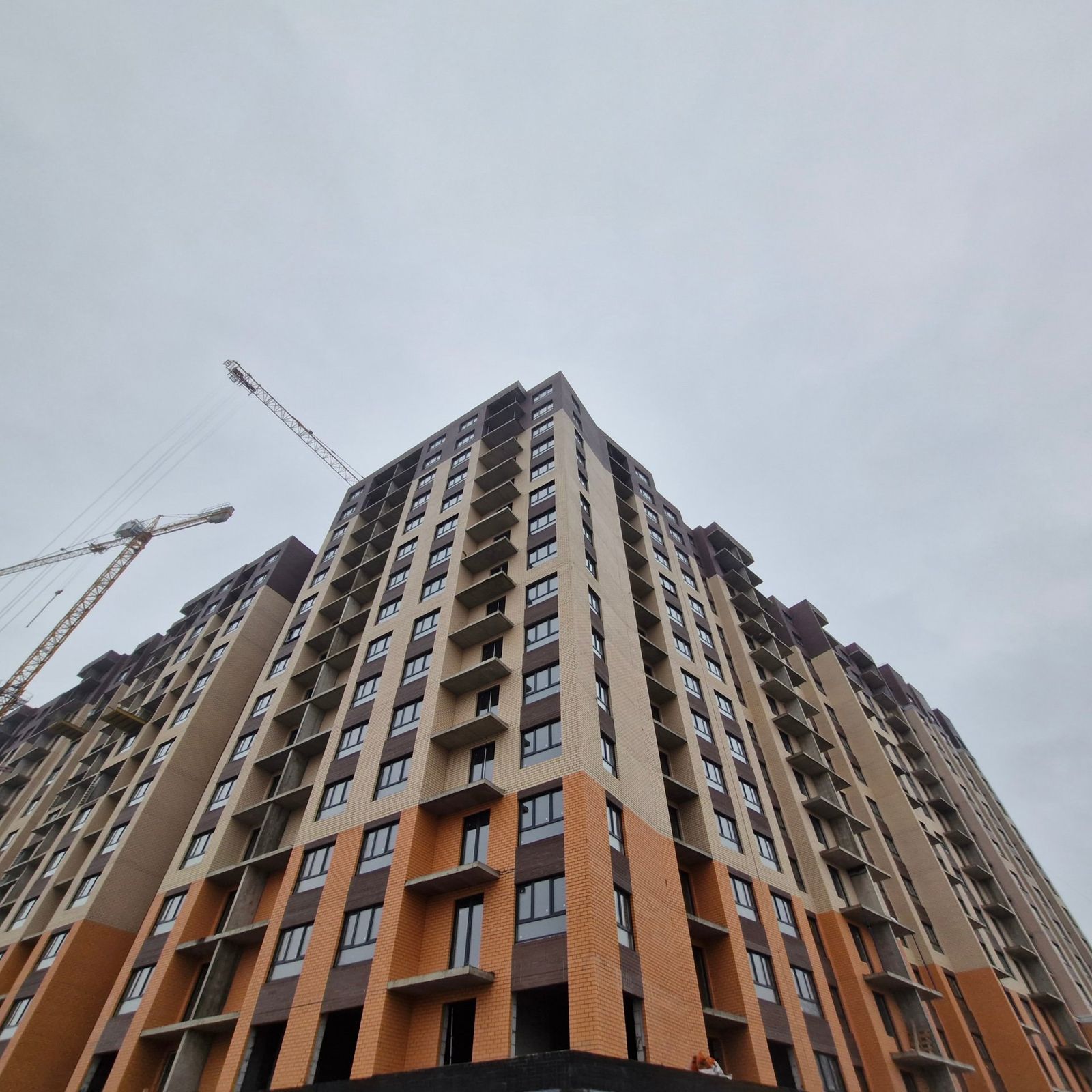 Январь 2025 г.